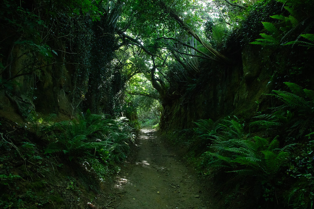 Hell Lane 2
